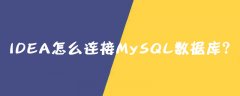 IntelliJ IDEA怎么连接MySQL数据库？