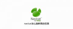 navicat怎么刷新表的权限