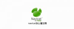 navicat怎么看注释