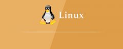 linux下phpmyadmin如何配置