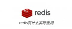 redis有什么实际应用