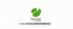 navicat如何设置高级数据库属性