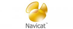 navicat用来做什么