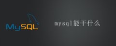 mysql能干什么