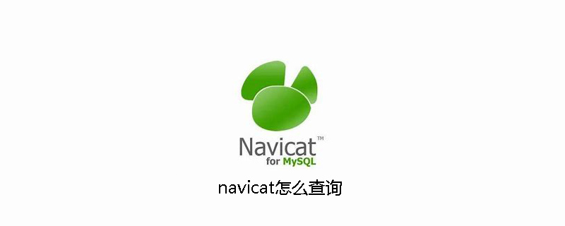 navicat怎么查询