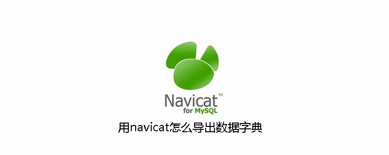 用navicat怎么导出数据字典