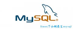 linux下如何安装mysql