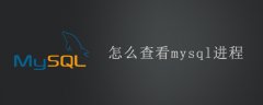 怎么查看mysql进程