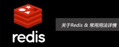 关于Redis &amp; 常用用法详情