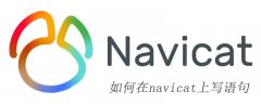 如何在navicat上写语句