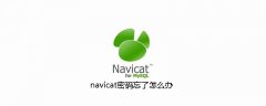 navicat密码忘了怎么办