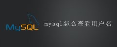 mysql怎么查看用户名？