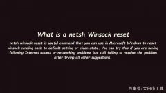 如何在Windows 10中使用“Netsh Winsock Reset”？