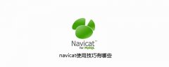 navicat使用技巧有哪些