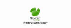 数据库navicat怎么加图片