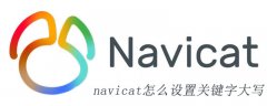 navicat怎么设置关键字大写