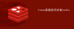 linux查看是否安装redis