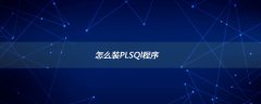 怎么装PLSQl程序