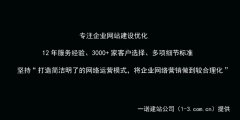 天津seo诊断哪个公司好（天津做百度关键词优化排名需要多少钱）