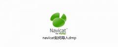 navicat如何导入dmp