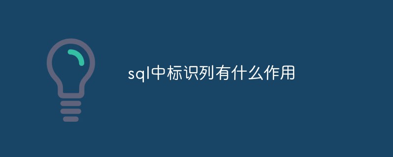 sql中标识列有什么作用