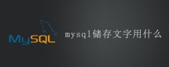 mysql储存文字用什么