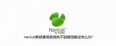 navicat新建查询系统找不到指定路径怎么办?