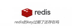 redis的key过期了还存在吗