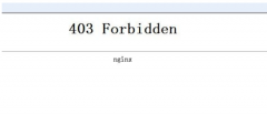 403 Forbidden是什么意思