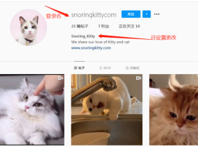 如何撰写和优化Instagram账户信息？