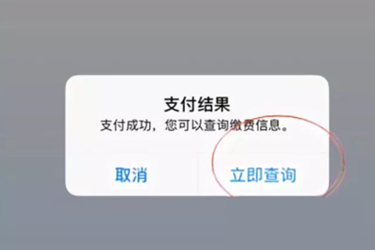 支付宝交医保费怎么交？交费有地域限定吗？