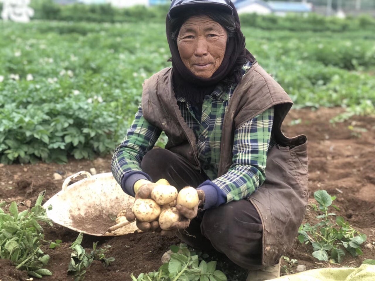 这个十一，淘宝喊你淘一单贫困县农货