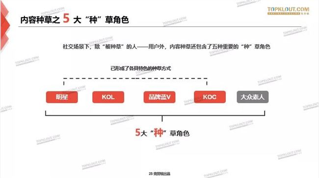 内容种草，一场用户心智的争夺战