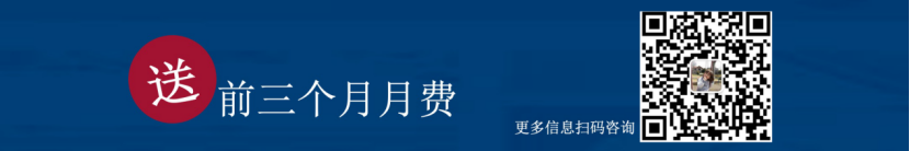 德国电商Real销量逆袭，热门品类竟然是它