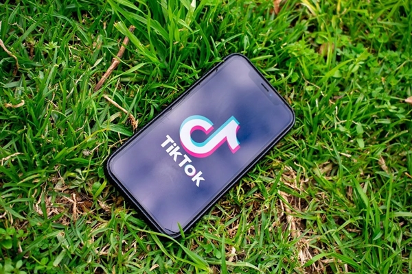 禁令解除！巴基斯坦正式放过TikTok