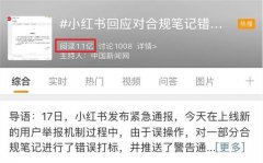 接私单、低质笔记，为什么被小红书“啄”出来了？