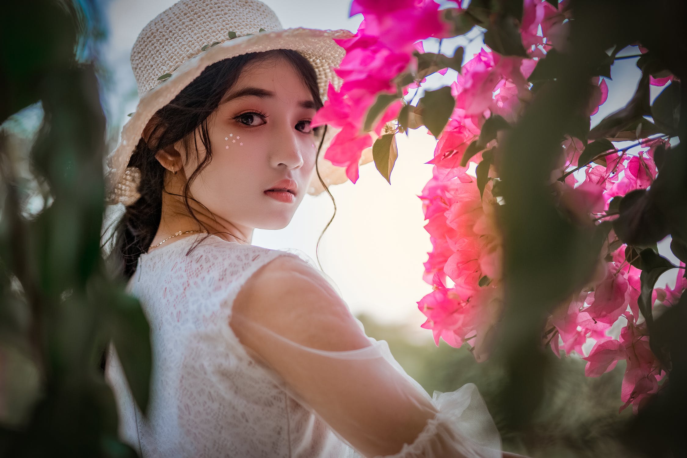 ps磨皮插件怎么安装方法（教你安装方法）