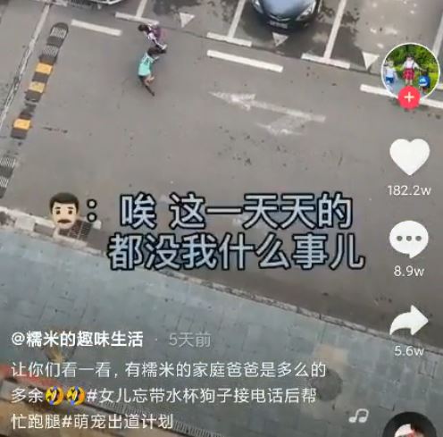 抖音网红遛狗没纤绳被罚款，还是490万粉丝宠物大号...