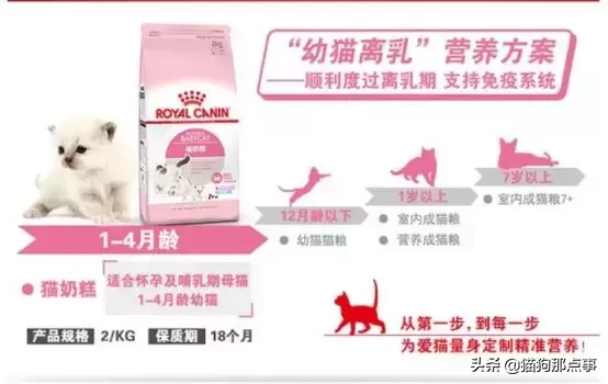 猫奶糕什么牌子好（分享皇家奶糕猫粮真实测评）