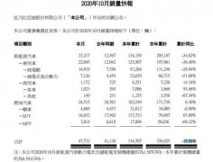 比亚迪10月份销售纯电动汽车14919 辆 同比增长96.61%