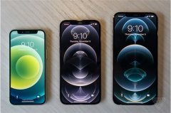 iPhone 12 mini与Pro Max预订开启 外媒分享上手对比视频