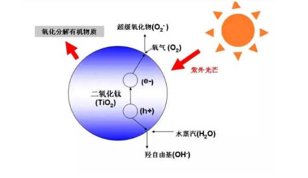 素颜霜有什么用（分享口碑最好的一款素颜霜）