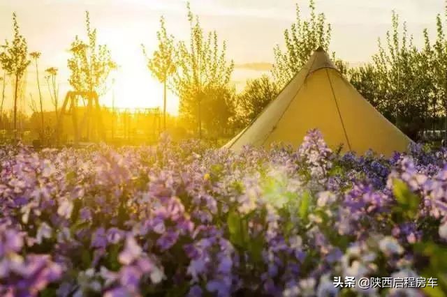 户外营地帐篷（平价易入手的户外营地帐篷）