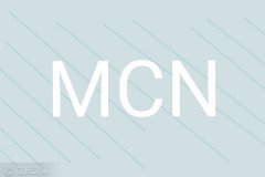 人人都只看到MCN的A面，那么B面是什么？