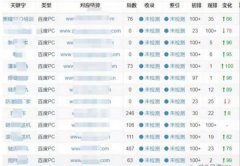 “快速排名”单词+整站上排名方法实战讲解