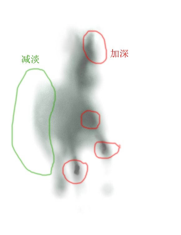 移花接木软件怎么用（免费教你使用方法）