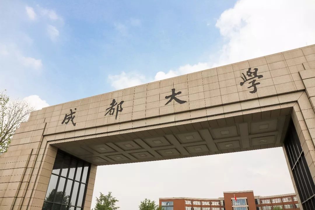 成都成立工作组调查毛洪涛去世