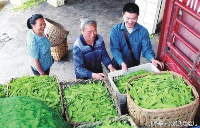 一个蔬菜摊一年能挣多少钱？说出来怕吓着你，听听摊主怎么说