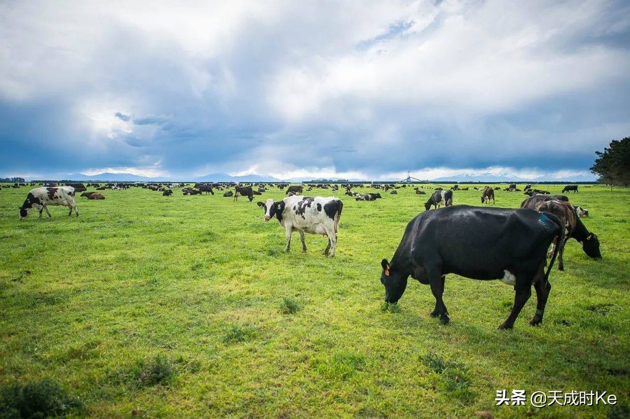 2020年创业哪个行业前景好（2020年4大行业最有前景）