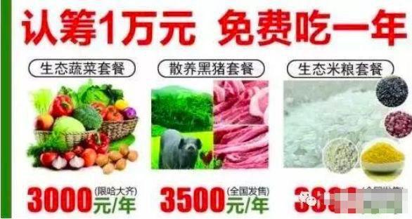 让客户免费吃一年蔬菜，还能挣到钱的案例